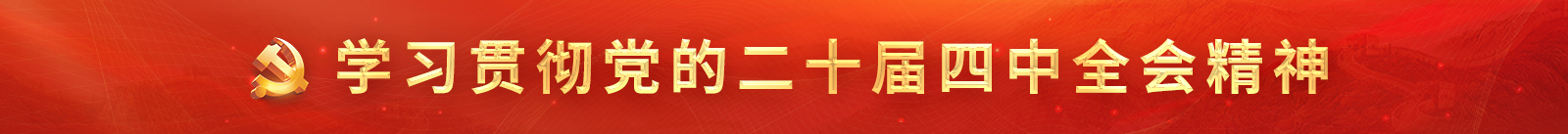 学习贯彻党的二十届四中全会精神